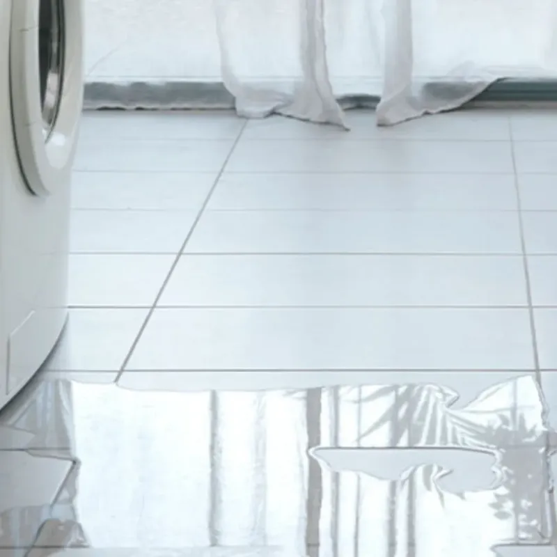 Appliance Leak Cleanup in Robstown, TX
